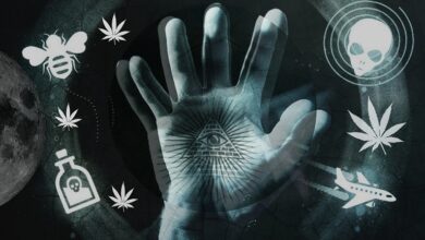 Scientist proved that conspiracy theories are untenable