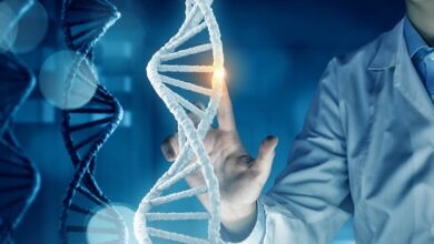 Scientists have discovered an unknown mechanism of DNA evolution