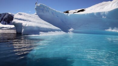 Scientists have discovered that the ice sheet of Antarctica is rapidly collapsing