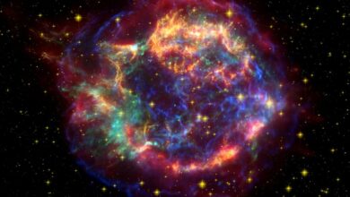 Scientists launch rocket to photograph supernova remnants