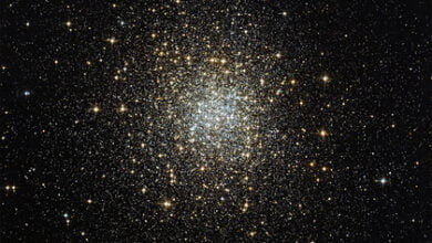 Stars over 12 billion years old found in globular cluster