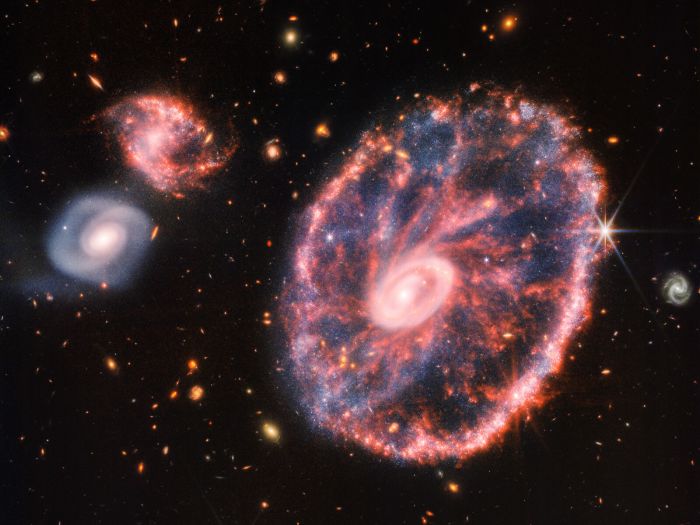 Stunning new image by James Webb shows the Cartwheel galaxy in vivid detail