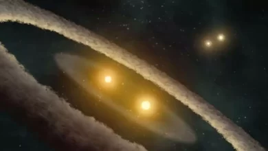 Unusual triple star system may have swallowed a fourth star
