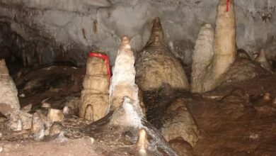 1 000 year old stalagmites from a cave in India show monsoons arent all that reliable their rings testify to a history of long droughts