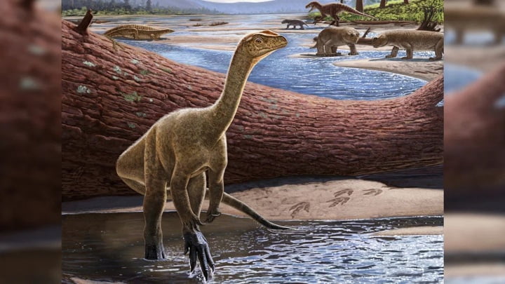 230 million years old Africas oldest dinosaur discovered
