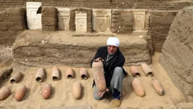 A 2600 year old cheese was found in Egypt