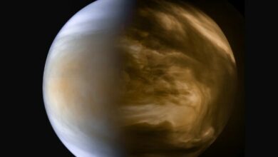 A brief history of the modern search for life in the atmosphere of Venus 1