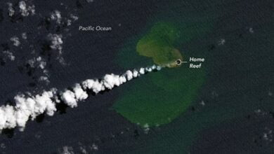 A new island has formed in the Pacific Ocean 1