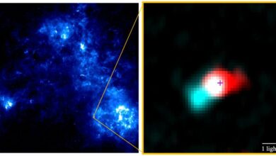 ALMA studies newborn stars in the small Magellanic cloud