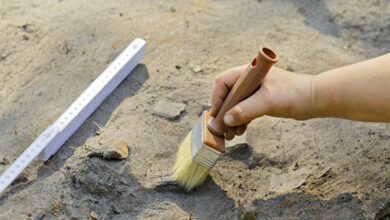 Ancient 2 000 year old grain invoices found in China