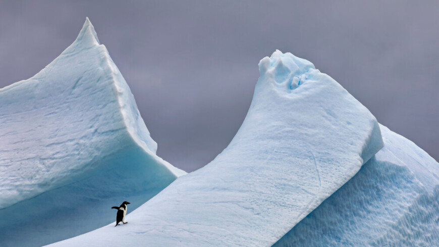 Antarcticas fastest melting glacier will raise sea levels by almost half a meter