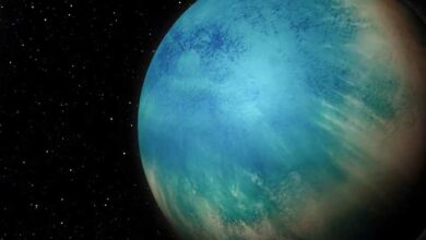 Astronomers have discovered many planets that are half water but life is unlikely to exist there