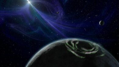 Astrophysicist says life on other planets could be found within the next 25 years