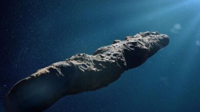 Chinese astronomers have expressed their opinion on the origin of Oumuamua