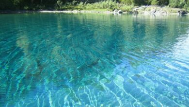 Climate change is making lakes around the world less blue