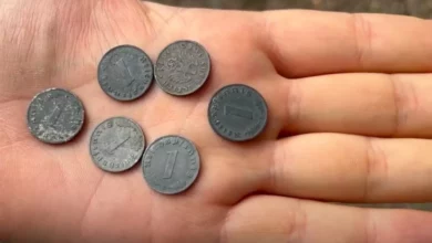 Coins from the treasure of the SS were found in the Polish palace