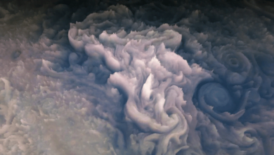 Created a beautiful 3D animation of the movement of the clouds of Jupiter
