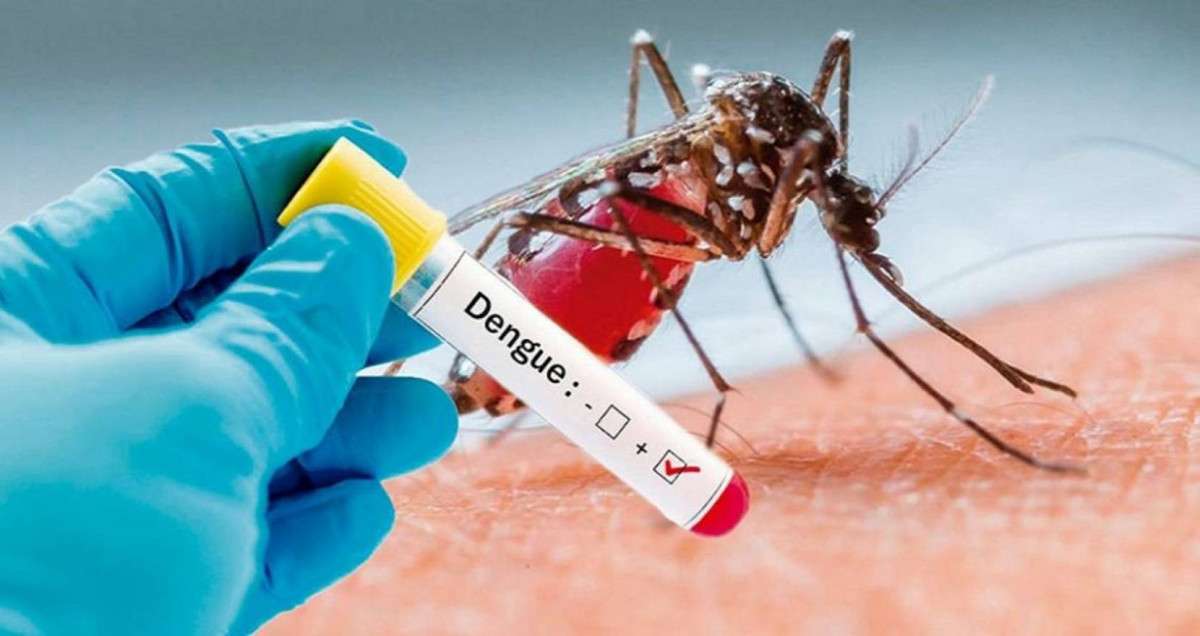Dengue in France : Tropical diseases in Europe won't be so rare for a long time to come 1 Dengue in France Tropical diseases in Europe wont be so rare for a long time to come 1