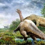 Diplodocus relative drowned in swamp found in Germany