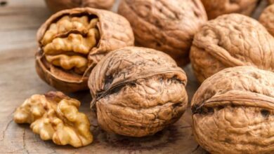 Eating walnuts in youth has been linked to a reduced risk of cardiovascular disease in adulthood