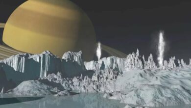 Evidence obtained for the theory of habitability of the Enceladus ocean