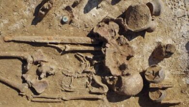 Gauls military cemetery found in northern France 1