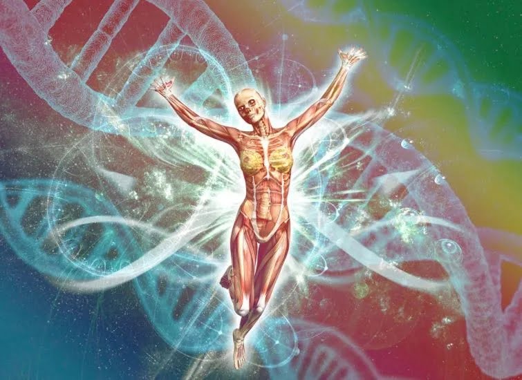 Genetic scissors bring humanity closer to immortality