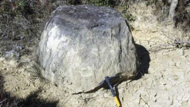 Giant stone jars discovered by archaeologists in India