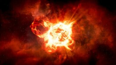 Great Dimming of Betelgeuses star was caused by a giant piece being torn off of it 1
