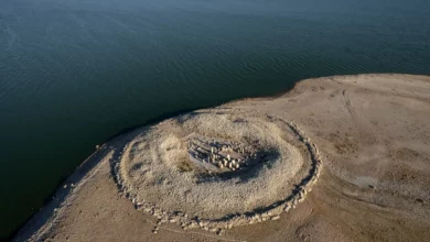 Historic monuments resurface as severe drought ravages Spains reservoirs 1
