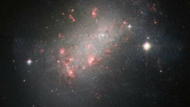 Hubble captures unusual galaxy NGC 1156