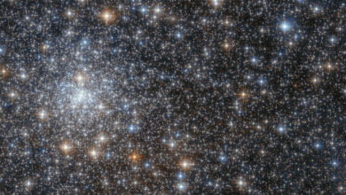 Hubble observes the sparkling star cluster NGC 6558