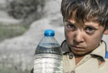 In flooded Pakistan tens of thousands of people fell ill with malaria and dengue fever