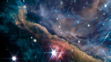 James Webb Telescope captures stunning images of the Orion Nebula