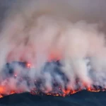 Large scale Australian fires have created a huge thermal anomaly in the stratosphere