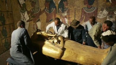 Legendary Egyptologist Zahi Hawass on the mysterious death of Tutankhamun the curse of Cleopatra and the imperialism of European museums 1