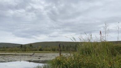 Methane boiling lakes appear in Alaska 1