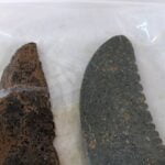 More than 7000 years old wooden sickles found in Italy