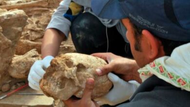 Mysterious elongated skulls unearthed in bizarre Iranian Neolithic cemetery 1