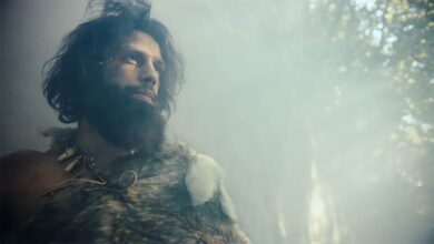 Myth of Basajaun the story of the Basques about an ancient meeting with the Lord of the Forests who gave them the knowledge they needed to develop 1