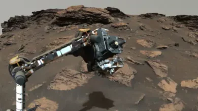 NASA breakthrough Rover detects strong signal of Organic Matter on Mars