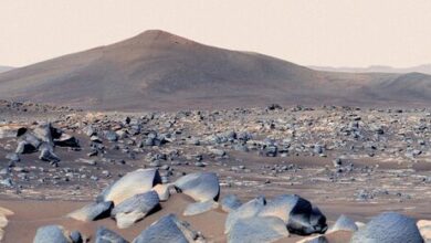 NASA finds organic matter in rock samples on Mars