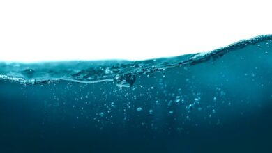 New phases of water discovered
