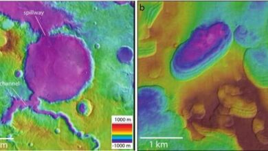 Number of ancient Martian lakes was underestimated by scientists