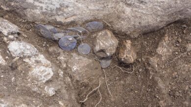 Opium remains found in 3 500 year old earthenware jars in Tel Yehud