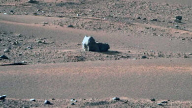Perseverance rover captured the sphinx on Mars