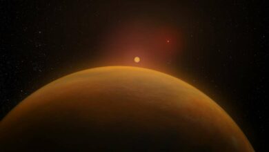 Planet discovered in GJ 896AB binary system