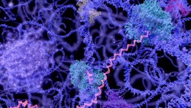 RNA world hypothesis