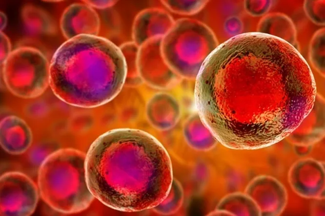 Scientists get healthy blood from adult cells without a bone marrow transplant