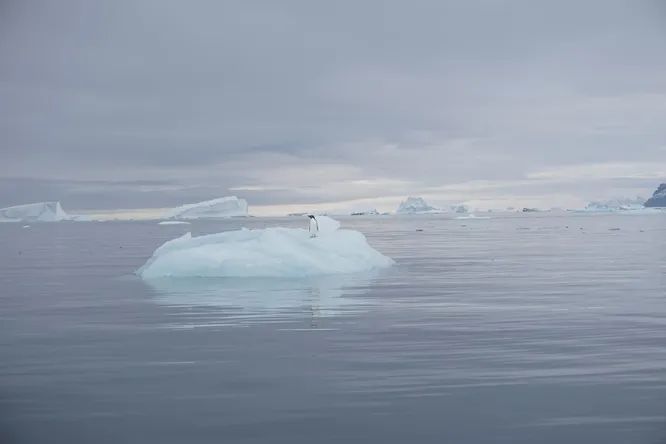 Scientists have plotted the change in temperature in Antarctica over 45 million years 2 Scientists have plotted the change in temperature in Antarctica over 45 million years 2